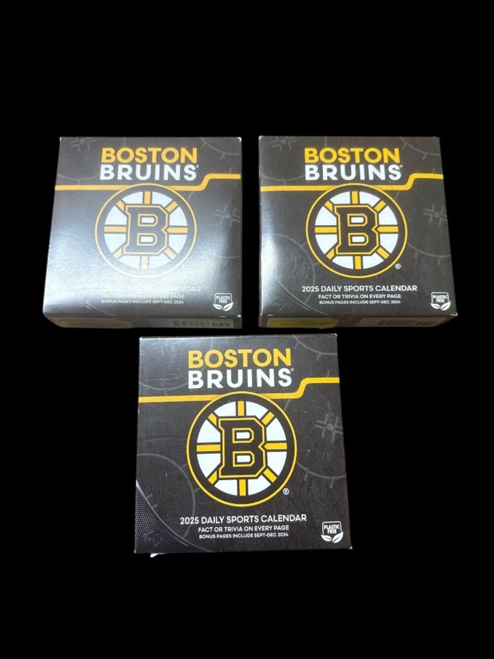 Boston Bruins 2025 Daily Sports Calendar Trivia & Facts New in Box